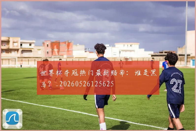 世界杯夺冠热门最新赔率：谁是黑马？_20260526125625